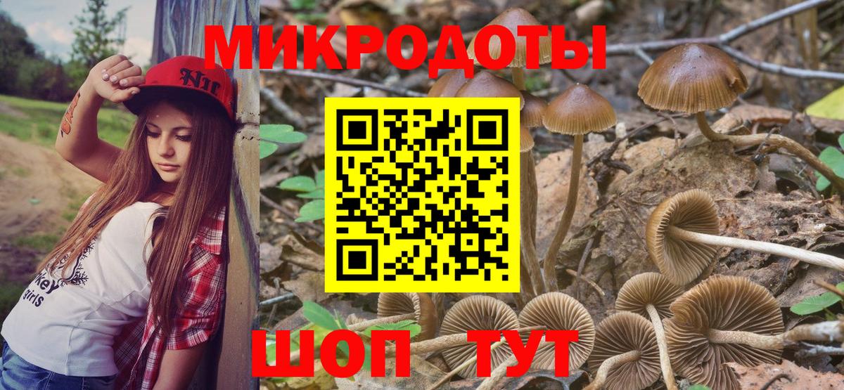 Галлюциногенные грибы MAGIC MUSHROOMS Киров